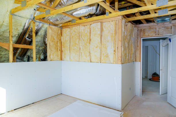 Best DIY Insulation Kits and Guidance in Federalsburg, MD