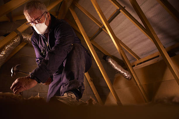 Best Commercial Insulation in Federalsburg, MD